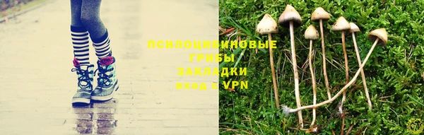 кокс Абинск