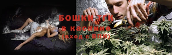дмт Алзамай
