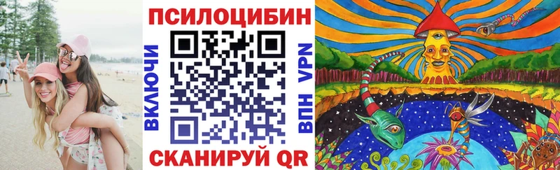 Псилоцибиновые грибы ЛСД  Елизово 